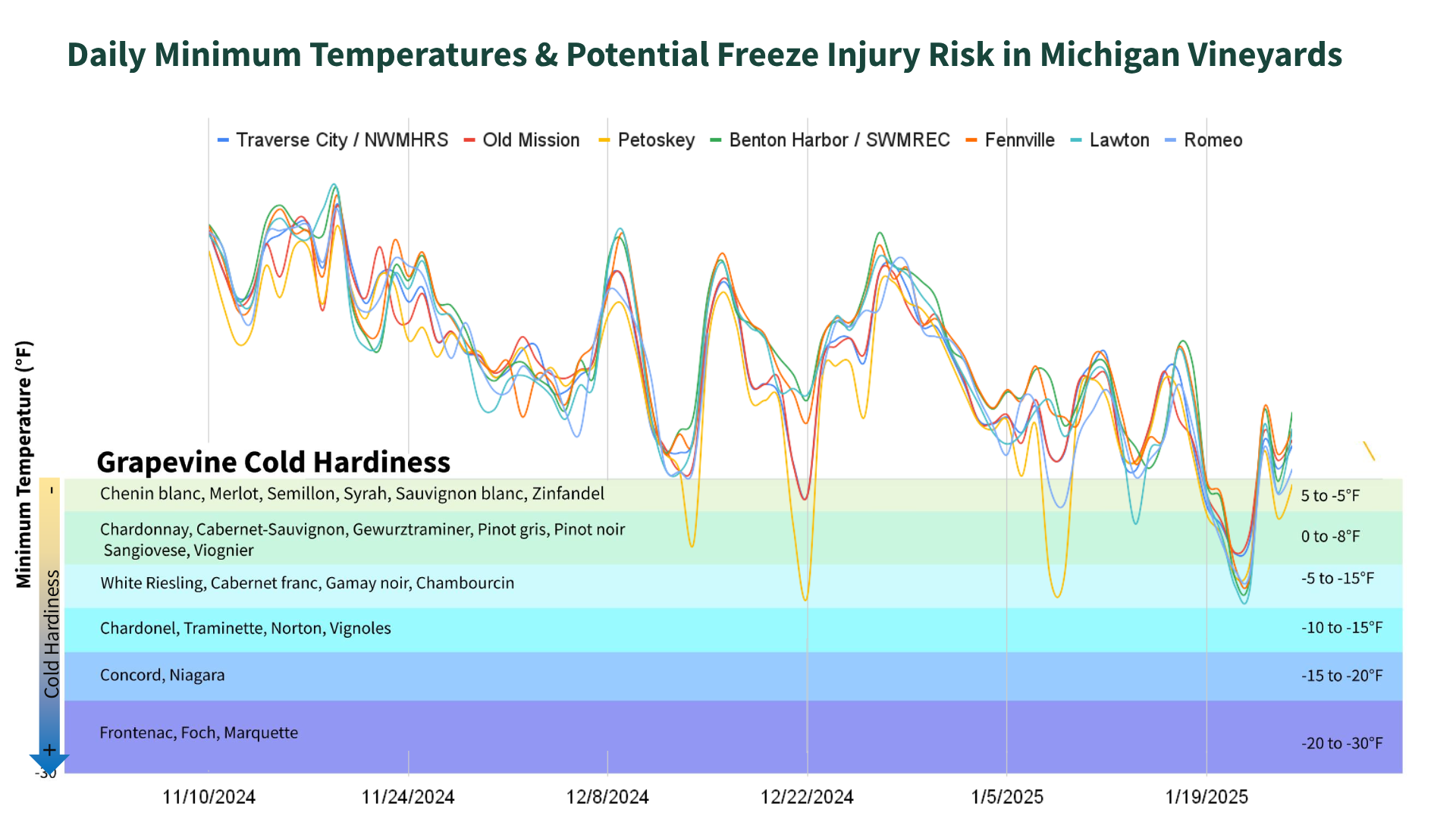 A line graph showing the daily minimum temperatures and potential freeze injury risk in Michigan vineyards.